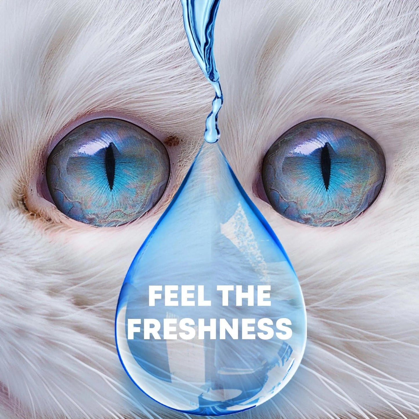 Cat & Dog Eye Wash Drops & Tear Stain Remover Cleaner Eye Infection Treatment Helps Prevent Pink Eye Relief Allergies Symptoms Runny Dry Eyes Safe for Small Animals (Eye Drops) Beloved Pets