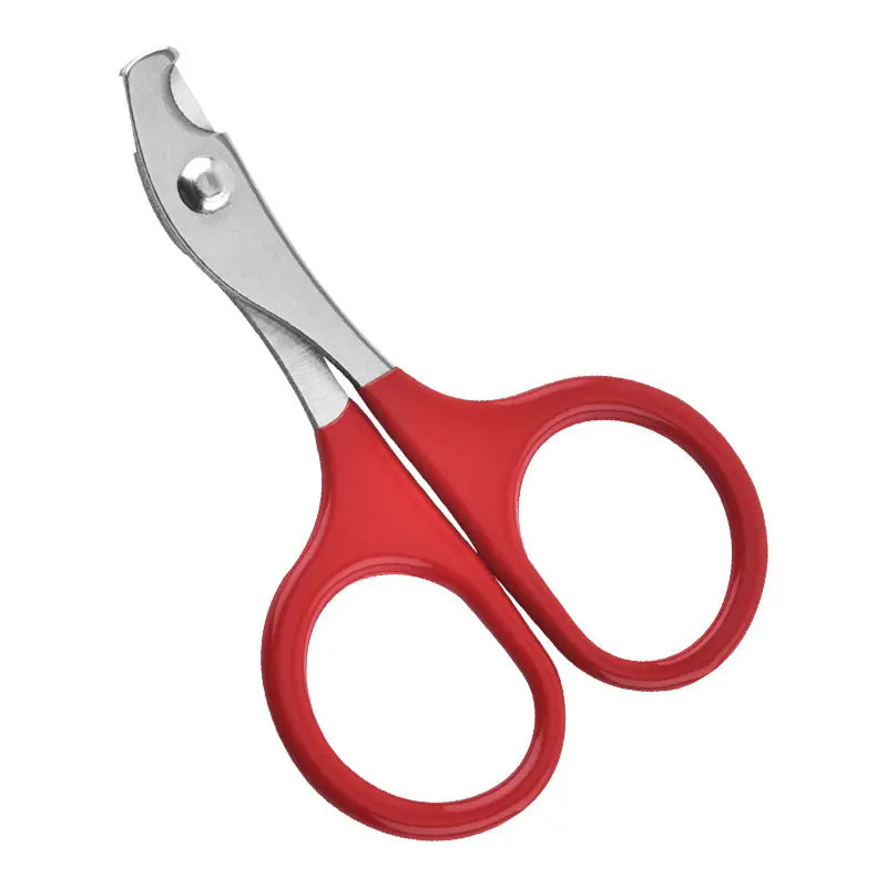 Stainless Steel Pet Nail Scissors Cat Dog Nail Scissors Beauty Cleaning Products Cat Dog Nail Scissors eprolo
