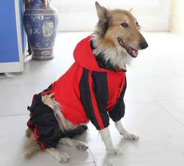 Large Dog Waterproof Raincoat – Lightweight Outdoor Protection