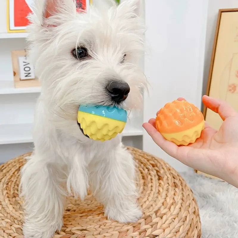 Dog Toy Training Teeth Grinding Ball Speaking Toothbrush Dog Outdoor Interaction eprolo