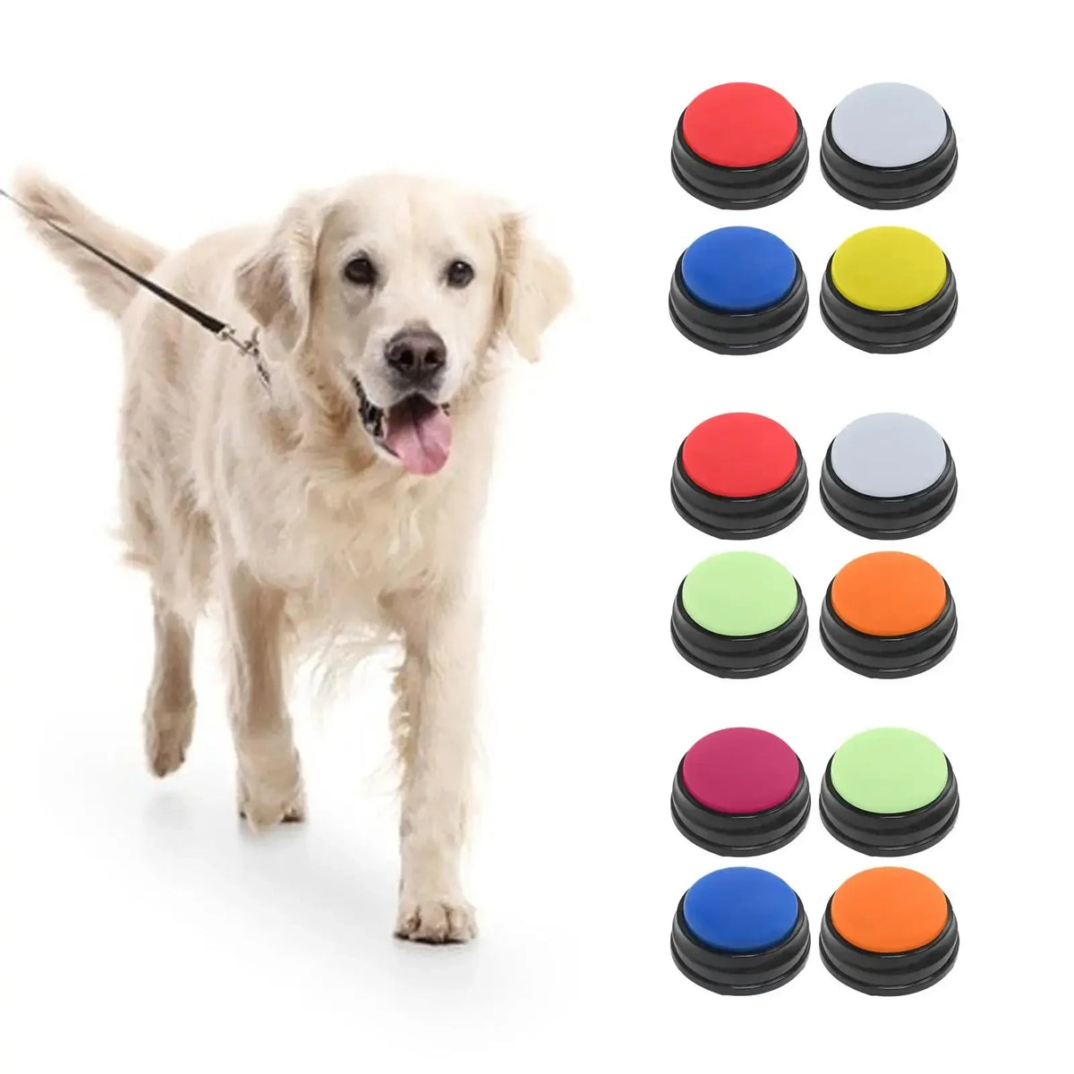 4 Pcs Recordable Talking Buttons Dog Interactive Toy Playback Educational Toy - Needora