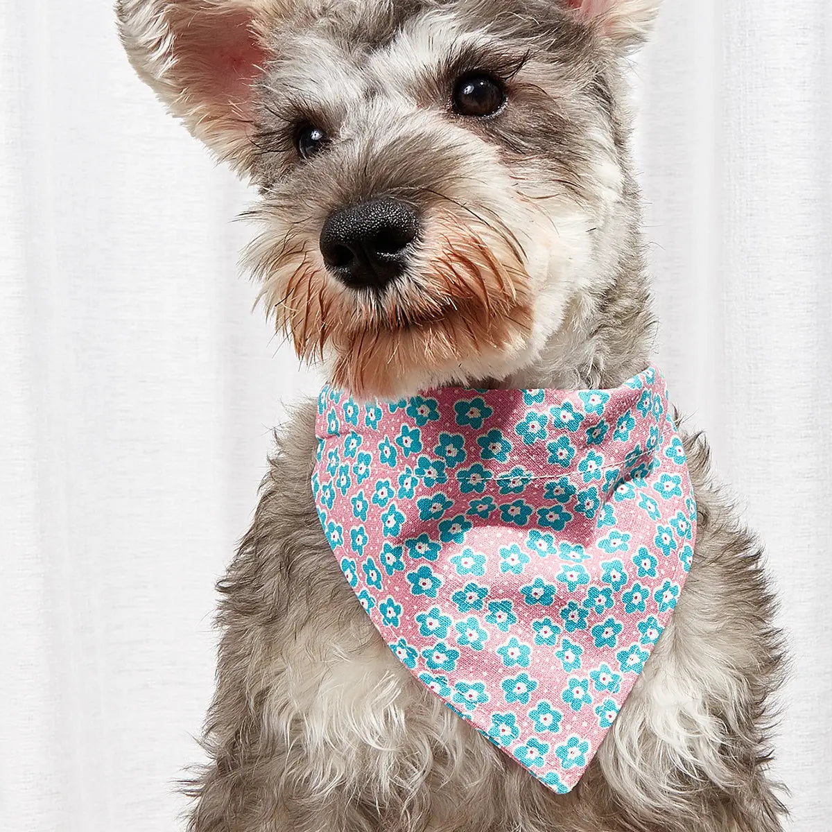 Pet Supplies Pet Saliva Towel Cartoon Pet Dog Collar Cat Triangle Towel Collar Pet Triangle Towel eprolo