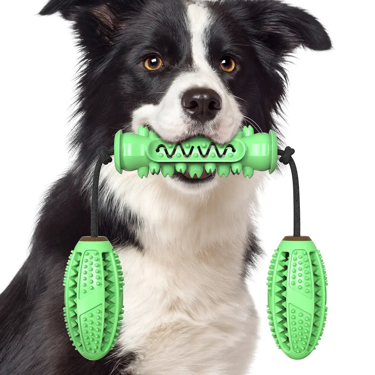 Dog Toy Molar Stick Bite Resistant Toothbrush Dog Toy With Rope 3 Pet Products eprolo