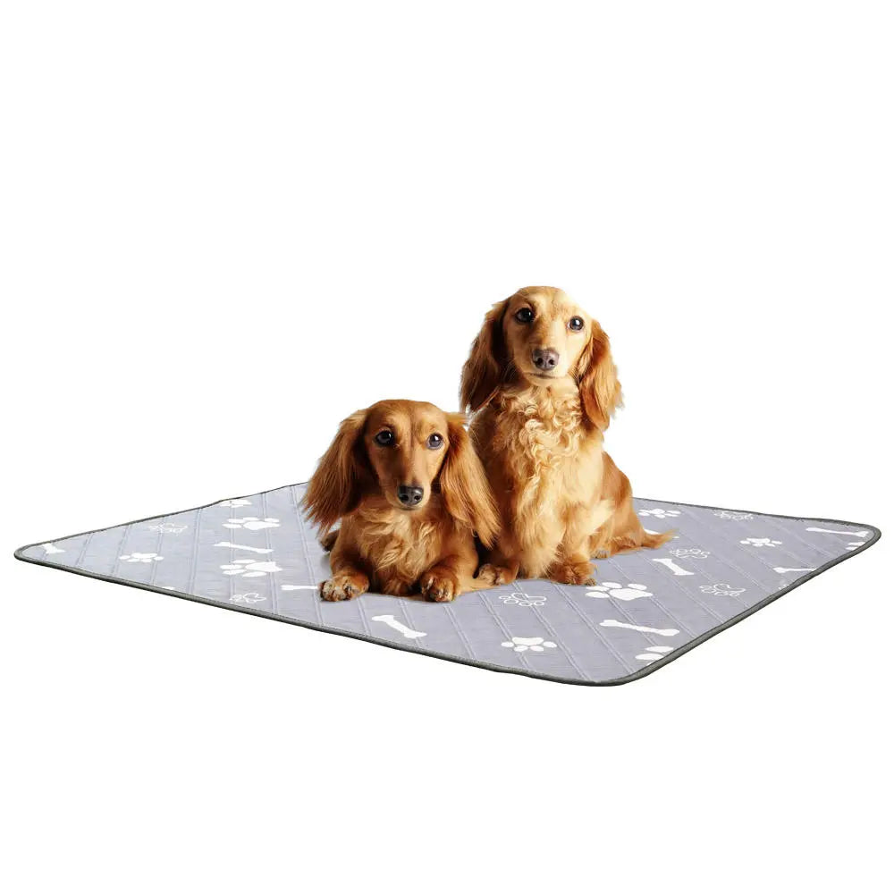 Pet Diaper Pad Reusable Washable Dog Diaper Pad Absorbent Non-Slip Waterproof Diaper Pad Training Diaper Not Wet eprolo