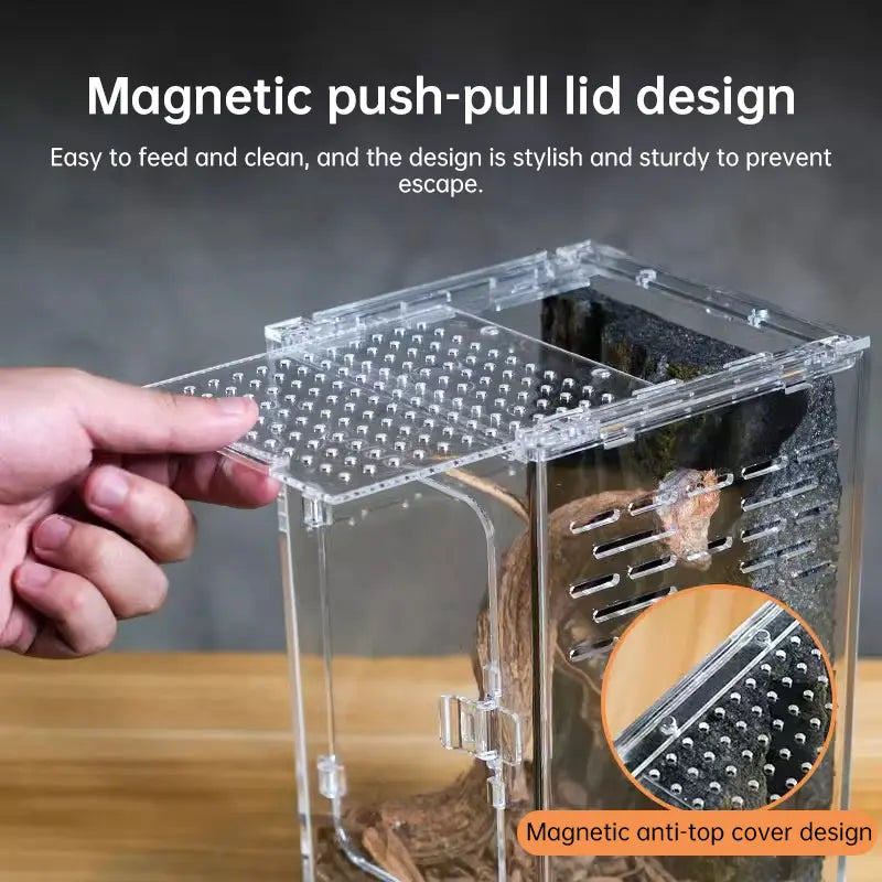 Acrylic Reptile Cage - Lizard/Spider/Insect Feeding Terrarium eprolo