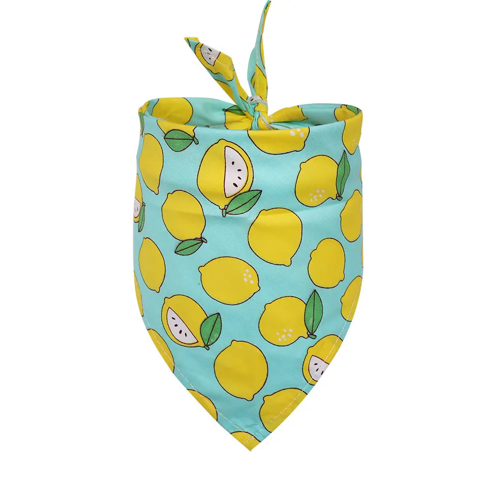 Cotton Triangle Scarf for Dogs (Pet Accessory) Needora