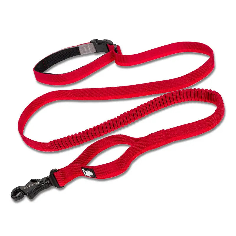 Pet dog leash with elastic cushioning suitable for outdoor activities such as running and waist tying eprolo