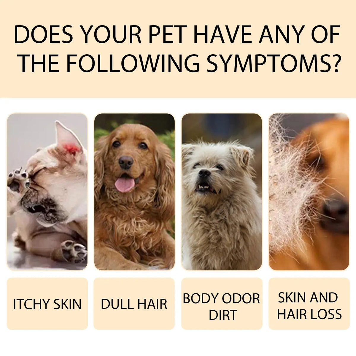 Yegbong Pet Shampoo (100g) Is A Gentle And Cleansing Shampoo That Makes The Fur Of Pet Cats And Dogs Smooth And Free Of Tangles eprolo
