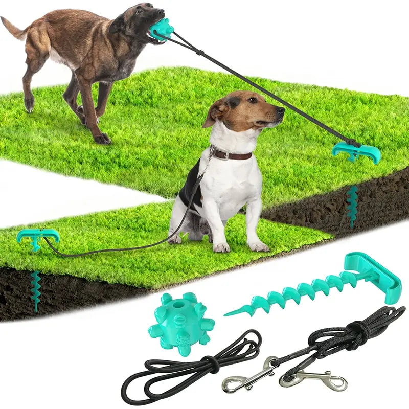 Outdoor tying dog pegs and pegs tying dog leash dog toy New pet products pet toys eprolo