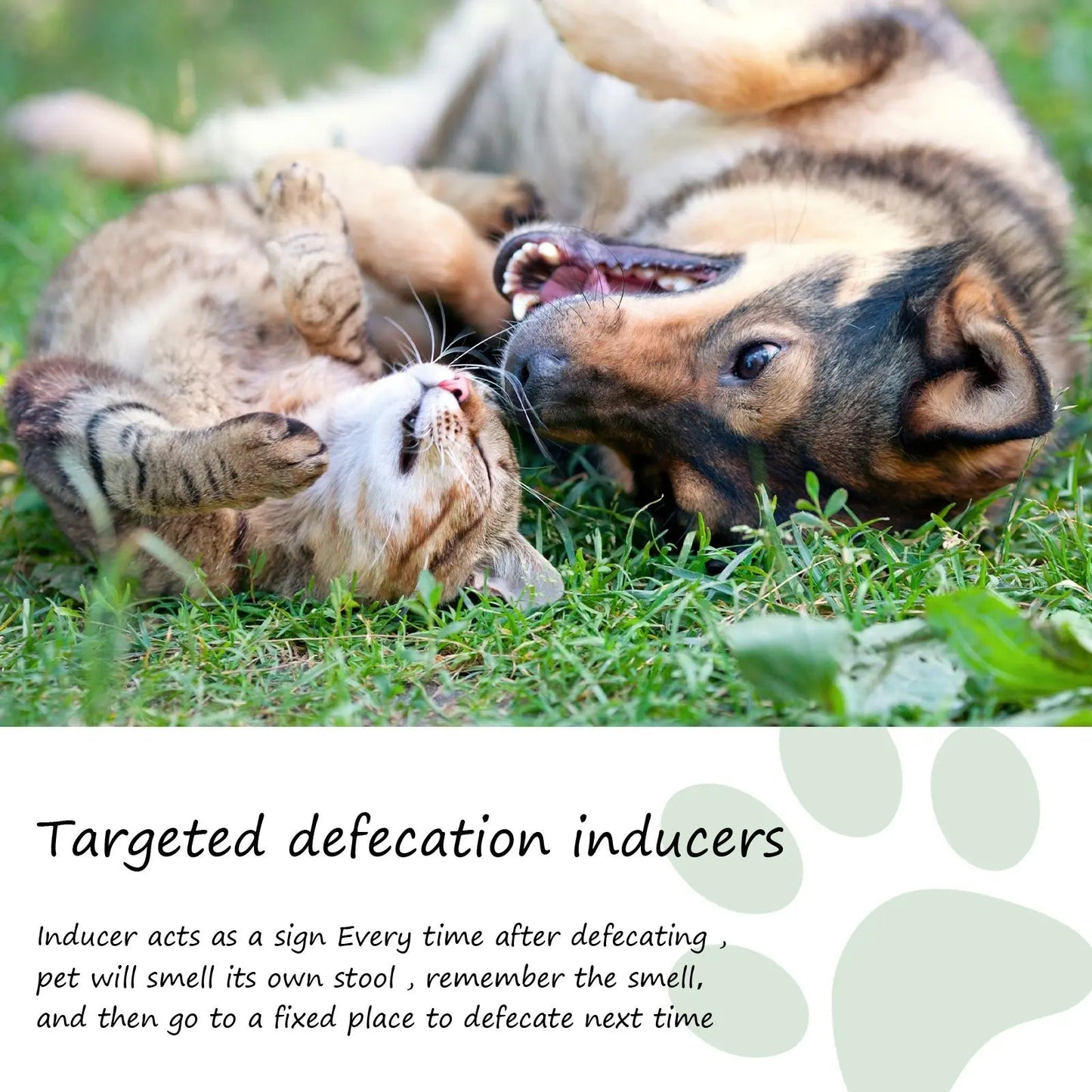 Pet Location Training Agent for Toilet Induction and Waste Positioning eprolo