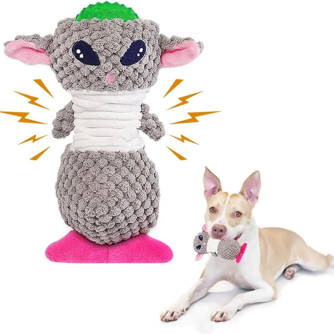 Outdoor Training for Pet Dogs Interactive and Bite resistant Dog Vocal Chewing Toys eprolo