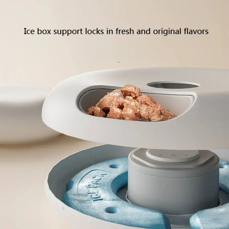 Paiwang 6-Meal Automatic Pet Feeding Device Cross border Spot Wholesale Wet Cat Food Cat Dog Timed Feeding Device eprolo