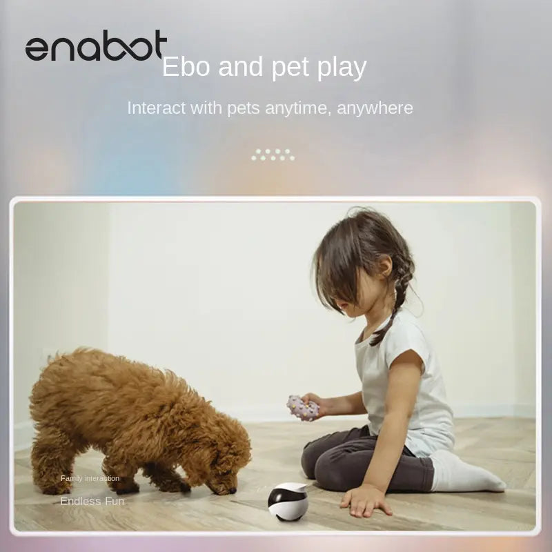 Enabot Whole House Mobile Camera Wireless Monitor Ebo Robot Home Smart Walking Electronic Pet eprolo