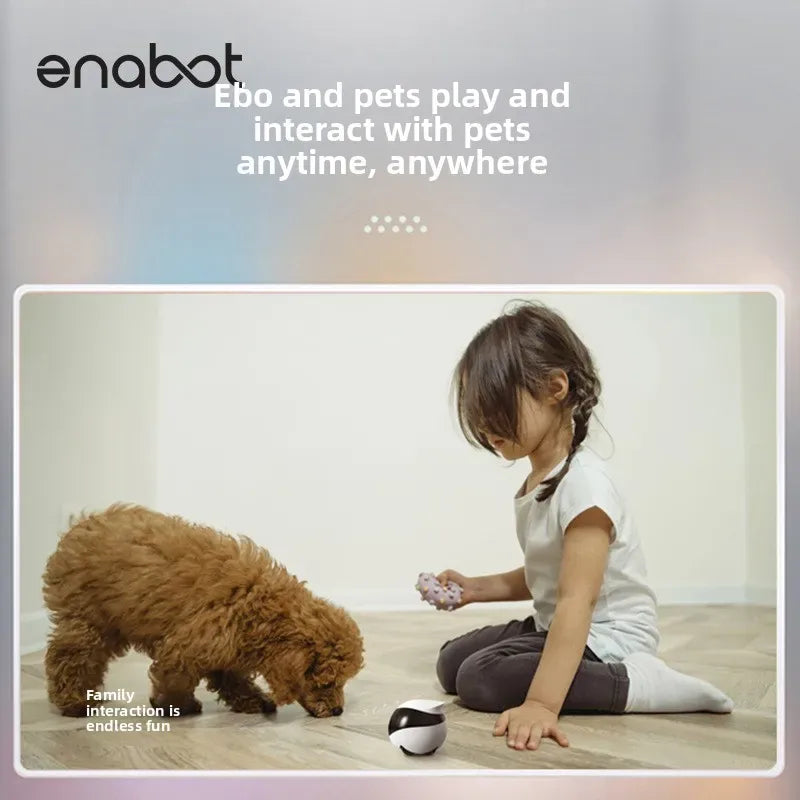 Enabot EBO SE Robot Camera – Smart Mobile Wireless Monitor & Interactive Electronic Pet Needora