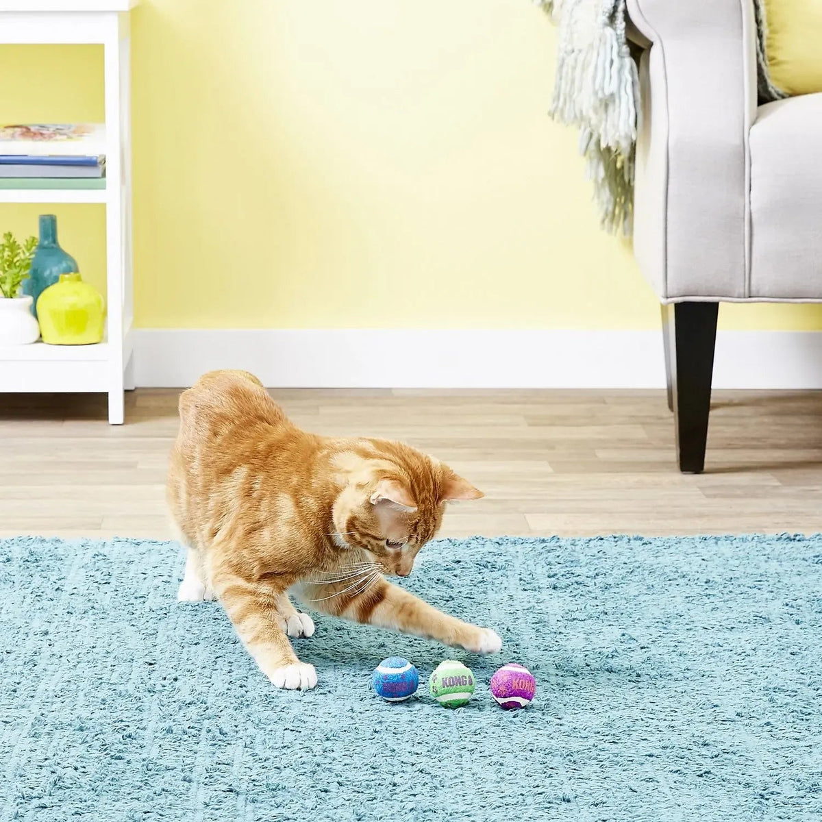 KONG Tennis Balls with Bells Cat Toy Needora