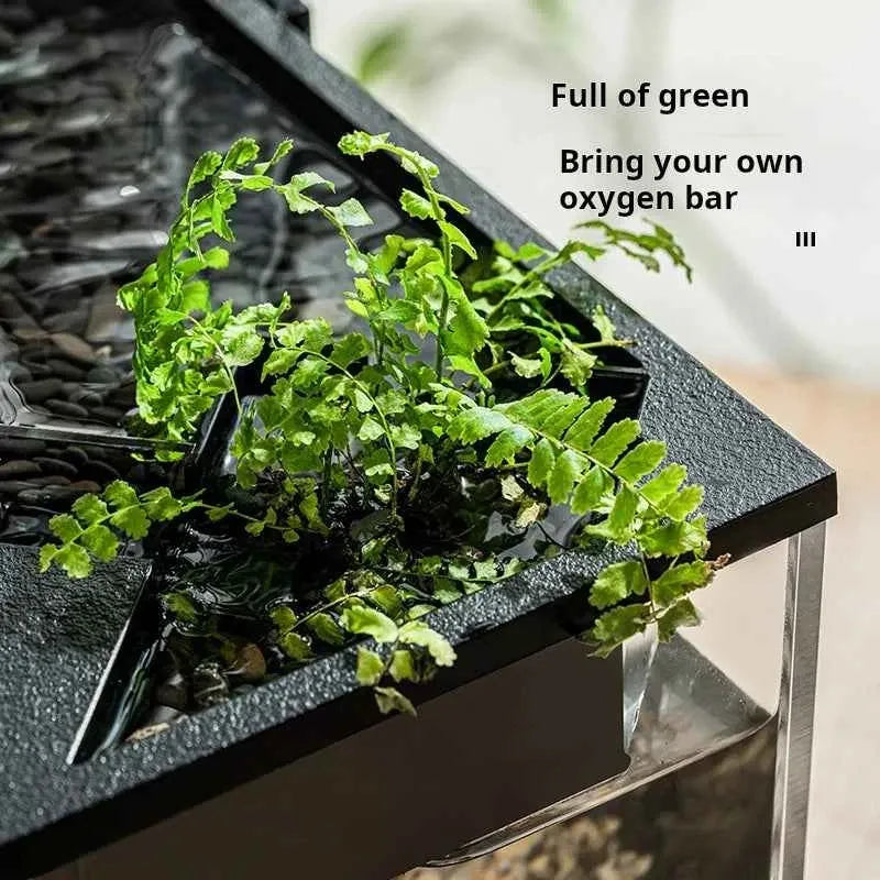 Modern Eco‑Friendly Plastic Desktop Aquarium – Small Rectangular Fish Tank