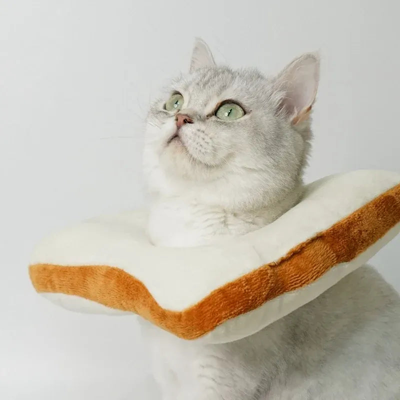 Pet Cat Headgear Toast Headgear eprolo
