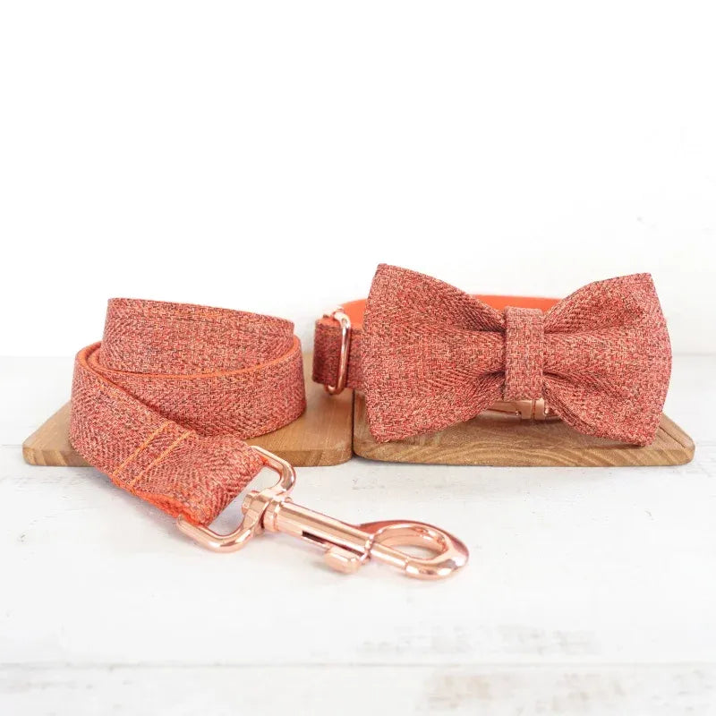 MUTTCO handmade puppy collar THE ORANGE SUIT gentleman pet products personalized ID leash eprolo