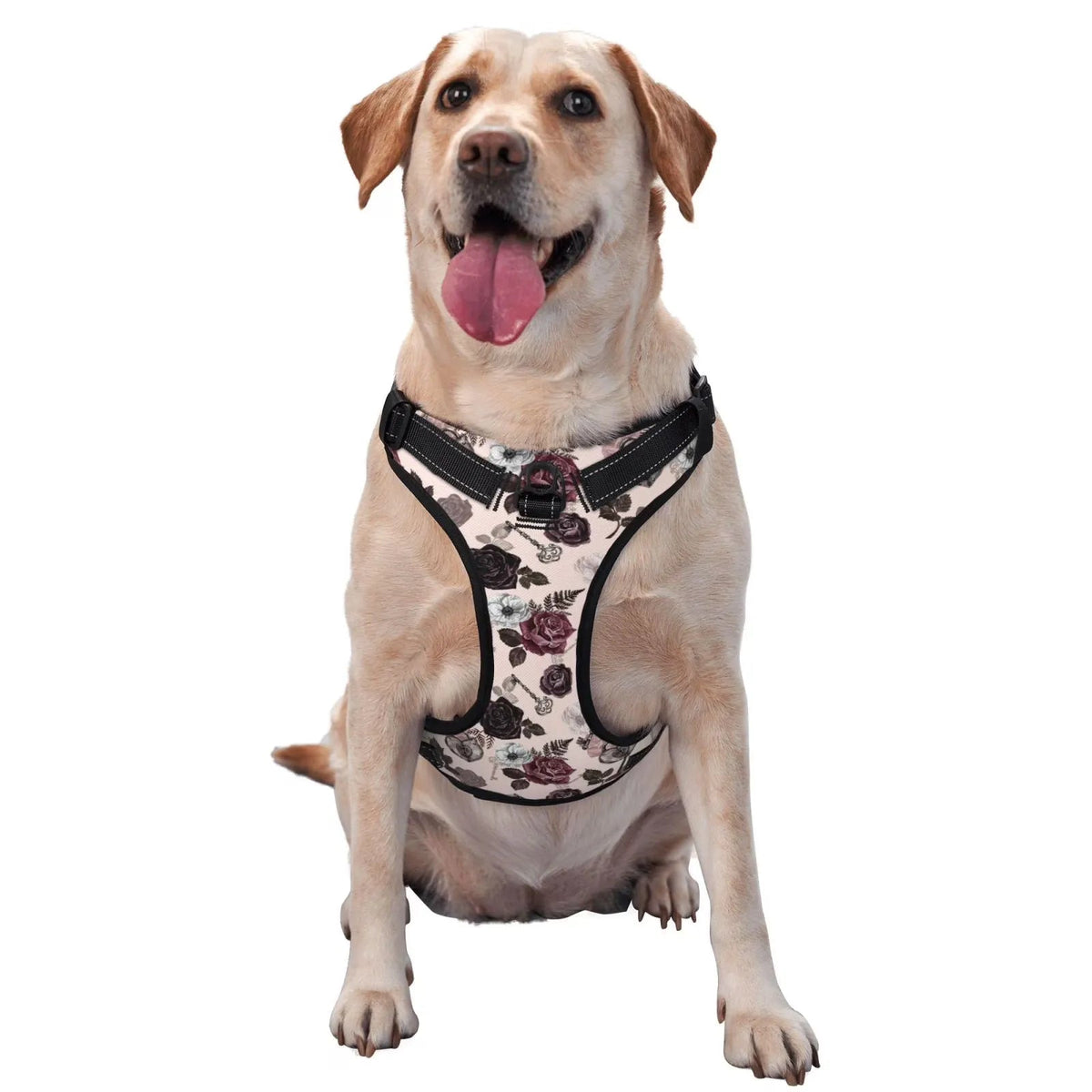 Pet Clothes Vest Dogs Tshirts Dollar Sign Clothing Wedding Clothes Gold Pet Products Dog eprolo