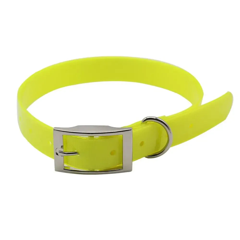 JanPet Fashion TPU Dog Pet Collars High quality waterproof deodorant Resistant dirt Easy clean collars 10 Colors Pet Products Needora