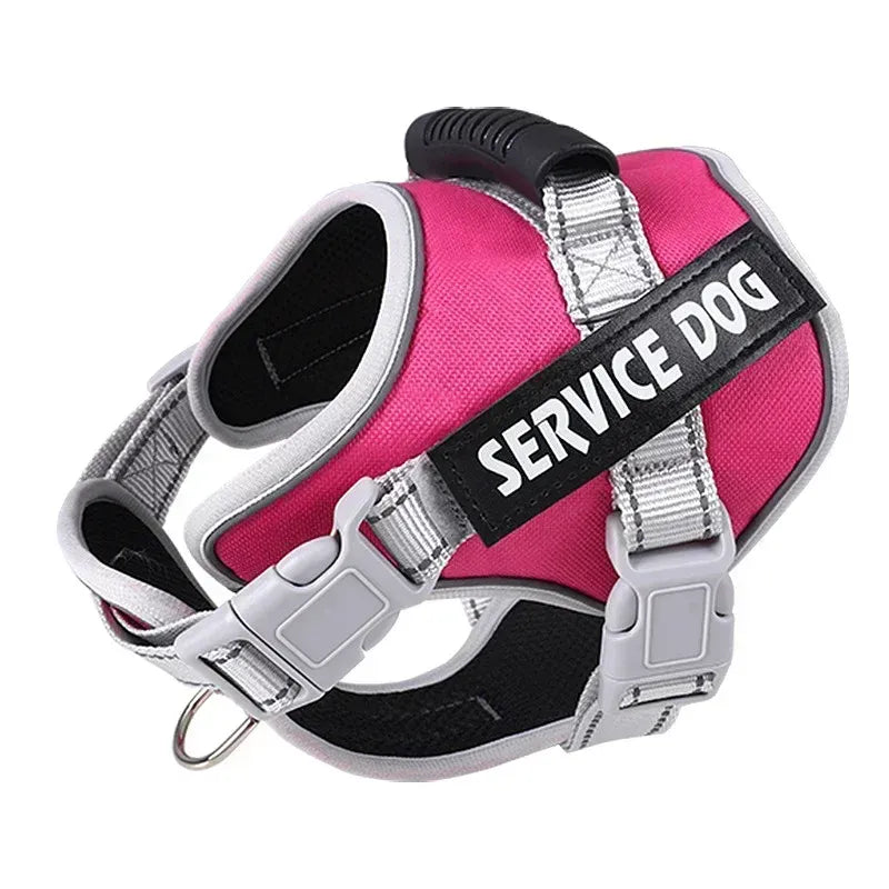 Reflective Custom Dog Harness – Add Pet Name & Phone Number Needora