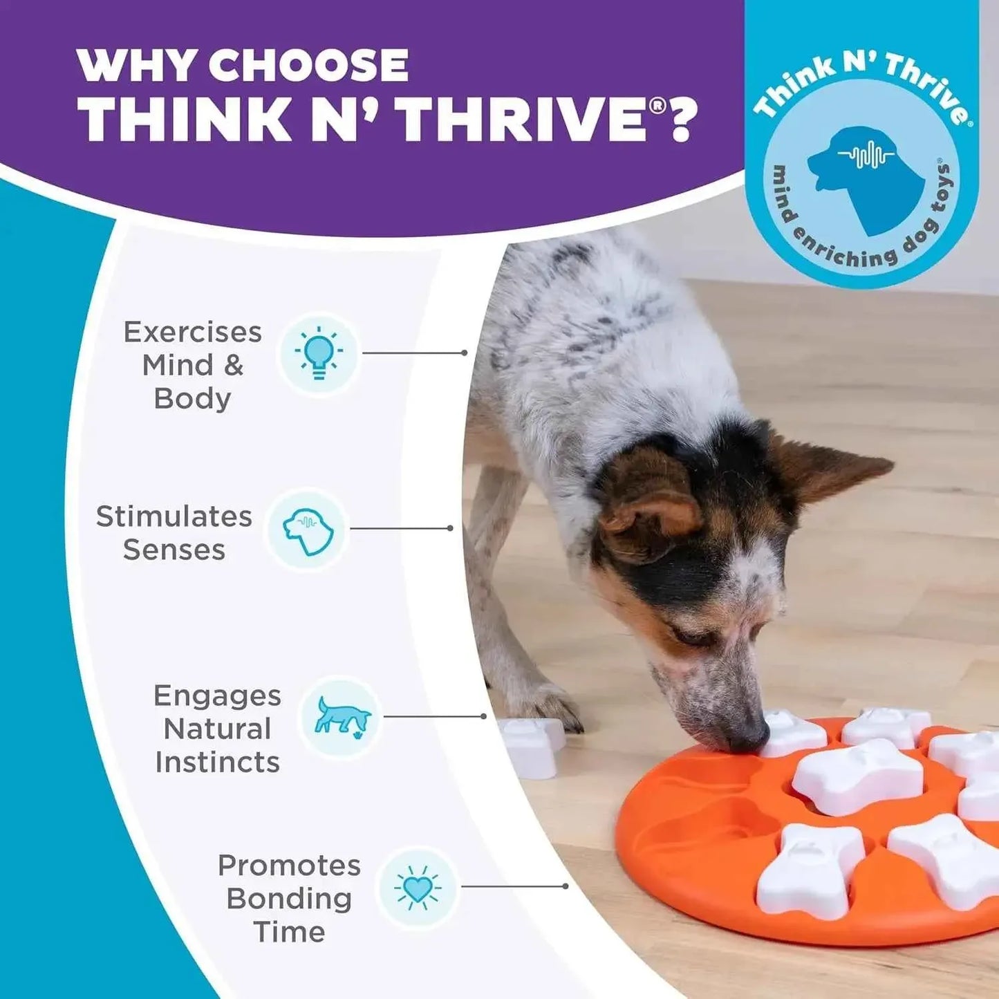 Level 1 Dog Treat Puzzle Toy – Beginner Interactive Mental Stimulation Game