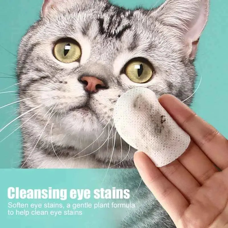 Pet Eye Cleaning Wet Wipes – Dirt & Bacteria Removal for Cats & Dogs