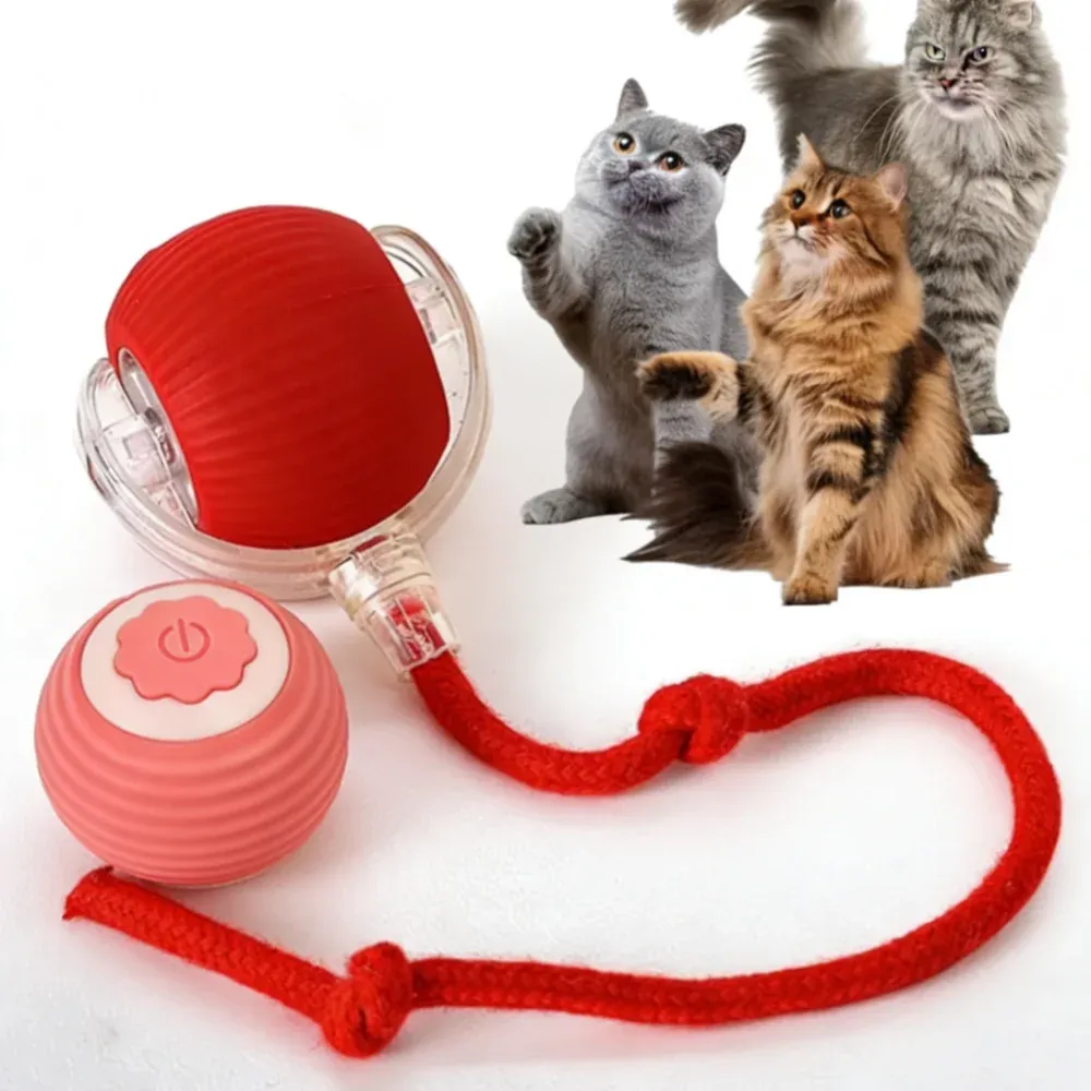 Pet Toy Ball with Tail Rope,Smart Automatic Pet Chase Ball Toy, Upgraded Speedy Tail Kitten Toy for Bored Indoor Adult Pets Needora