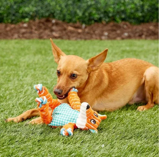 KONG Floppy Knots Dog Toy, Fox Needora