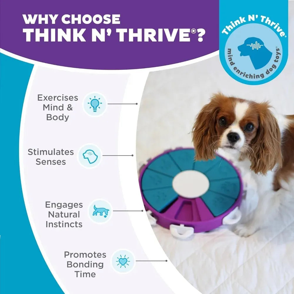 Outward Hound by Nina Ottosson Dog Twister Treat Puzzle Enrichment Toy, Level 3 Advanced, Purple Needora
