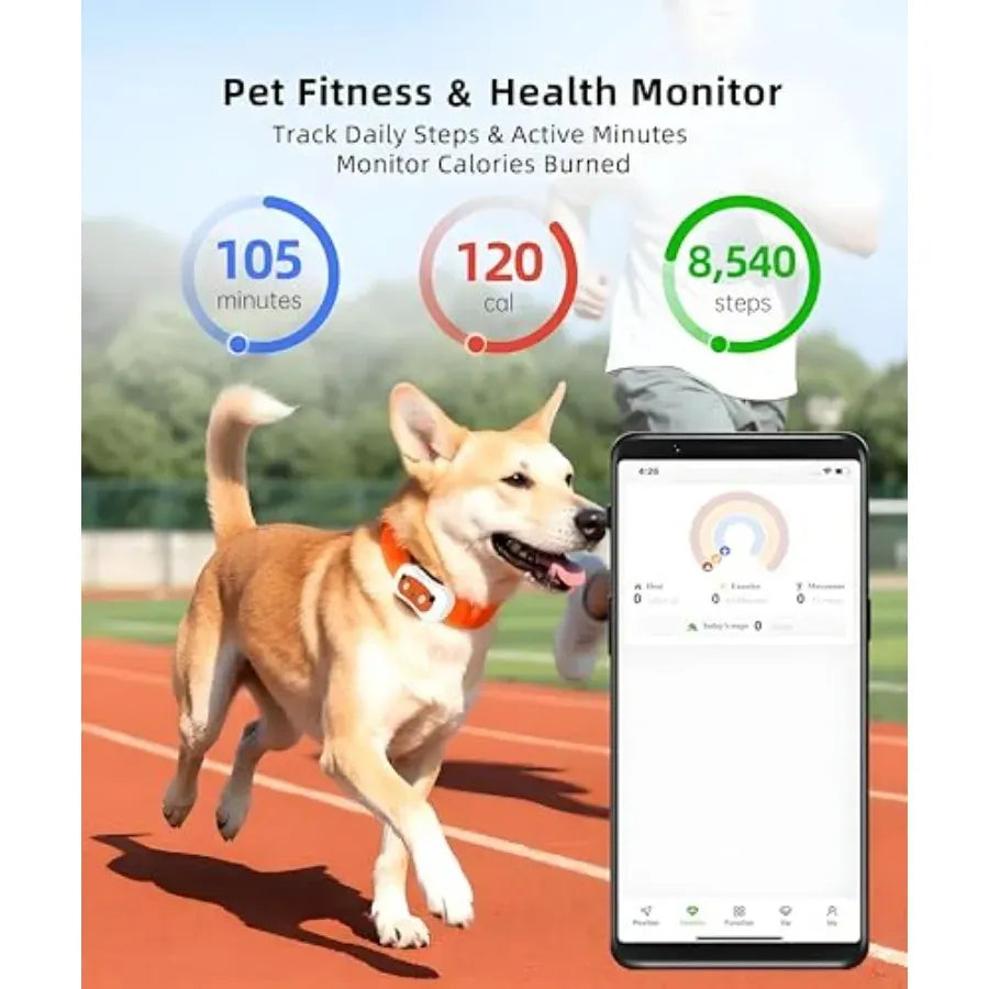 Smart Dog GPS Tracker Live Pet Tracker with Virtual Fence Dog Collar App-Compatible 4G Built-in SIM iOS Android Waterproof Blac Needora
