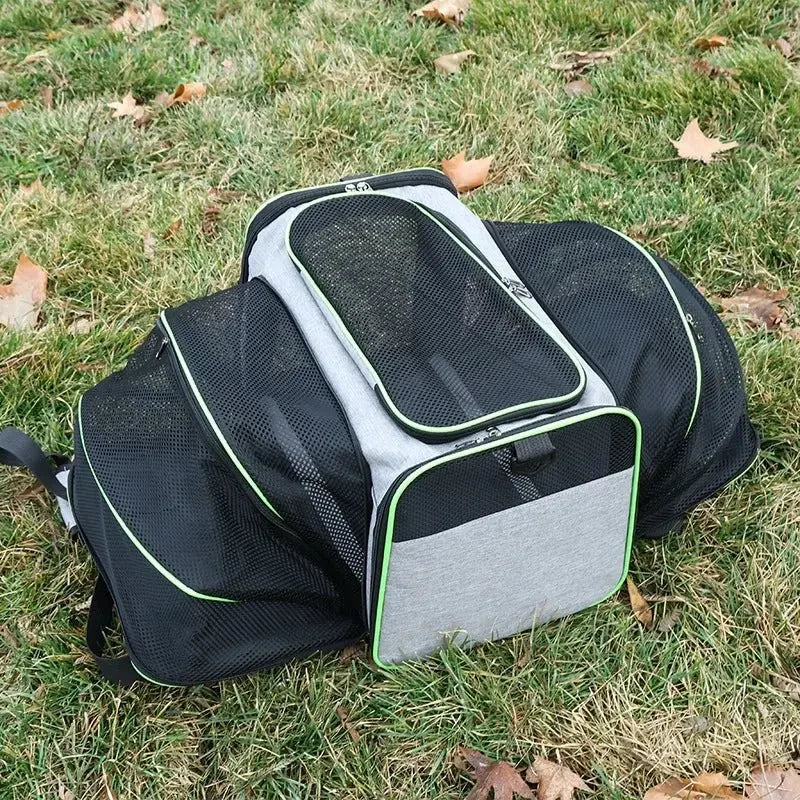 Airline-Approved Expandable Pet Carrier for Small Dogs & Cats – Soft-Sided Collapsible Travel Bag with 4-Way Access - Needora