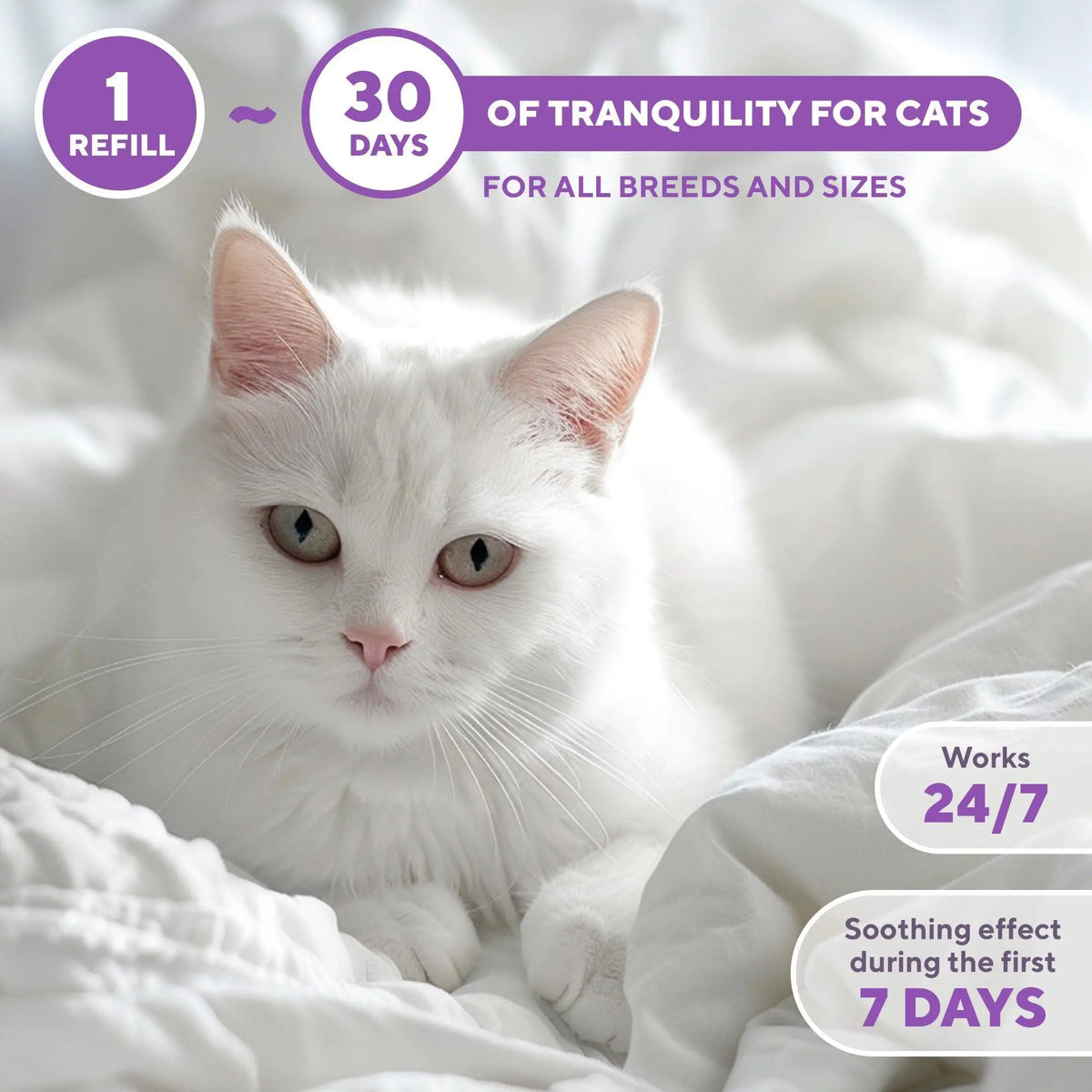 Calming Cat Diffuser Refill & Anti Anxiety Pet Products Feline Calm Pheromones & Cats Comfort Stress Relief Help with Pee New Zone Aggression Fighting with Dogs & Behavior Control