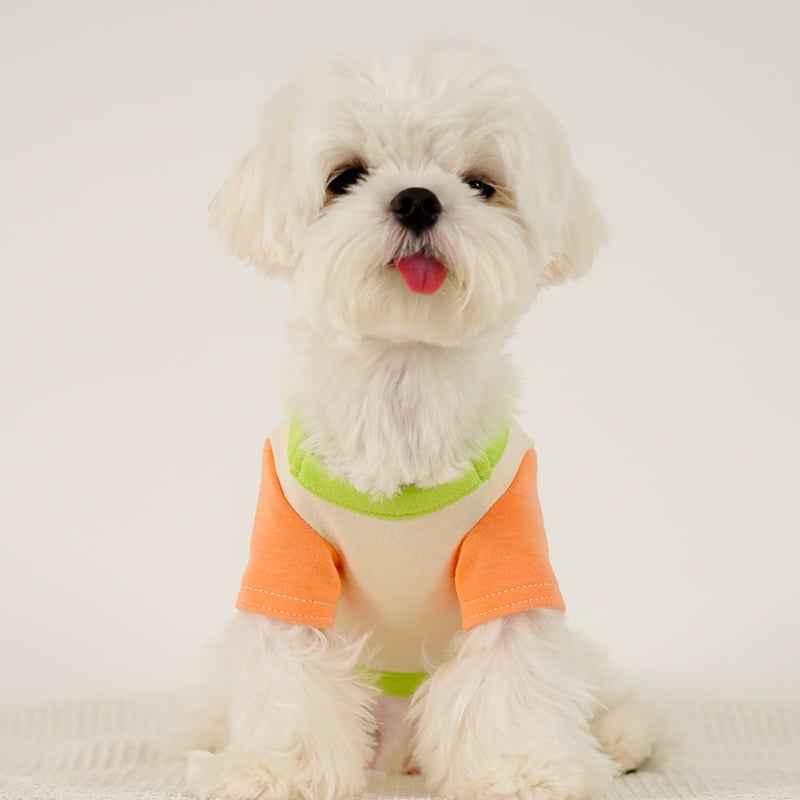 Puppy Dog Color Clash Home Wear Bottom Shirt