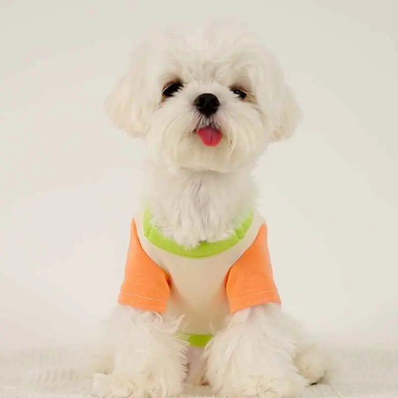 Puppy Dog Color Clash Home Wear Bottom Shirt