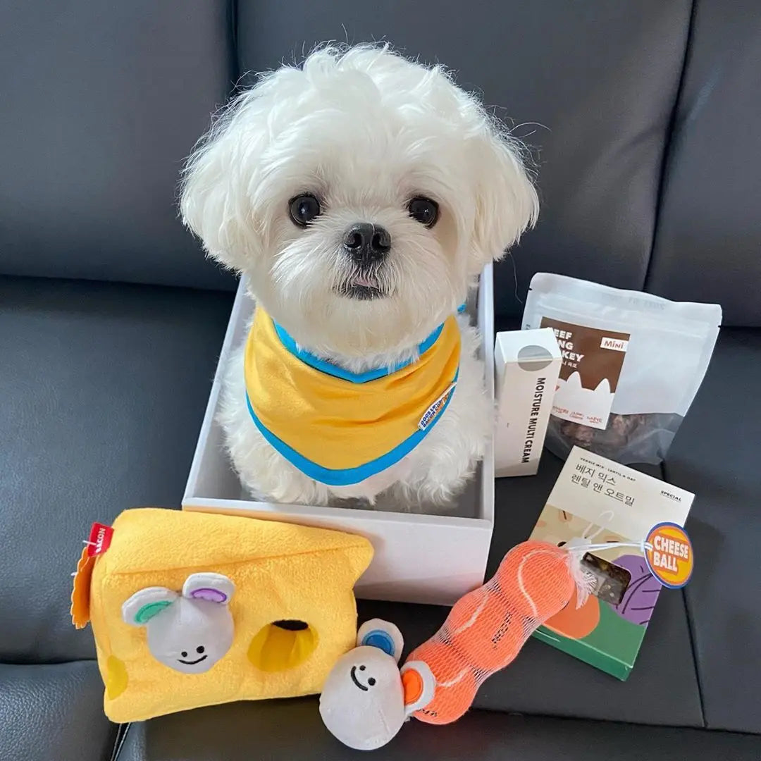 New Cheese Mouse BB Call Sound Toy Needora