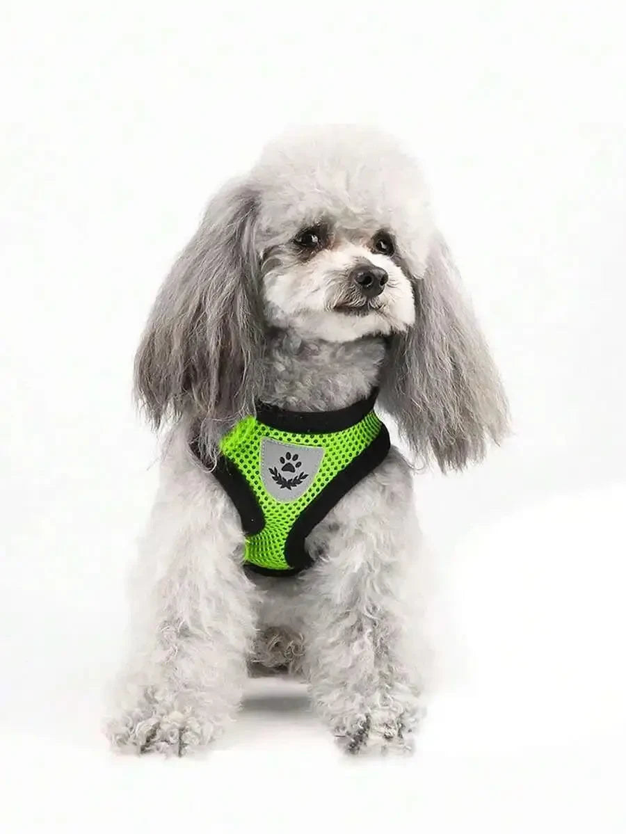 Escape-Proof Adjustable Harness & Leash Set, Breathable Mesh Collar For Small Dogs & Cats, No-Pull Pet Walking Vest - Needora