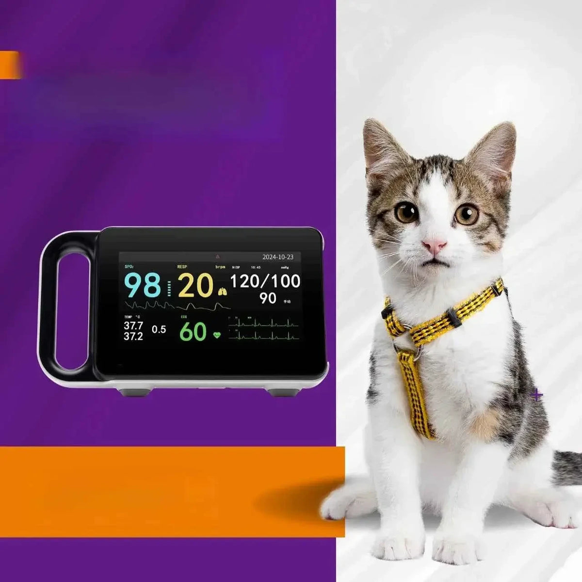 High-precision portable digital veterinary medical monitor multi-parameter vital signs equipment - Needora