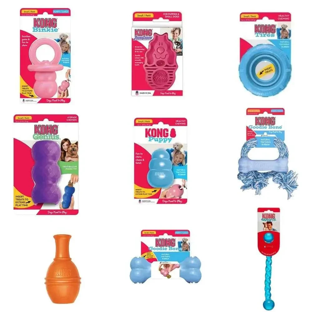 KONG BOX For Puppy -Fit (2-9kg) - Needora