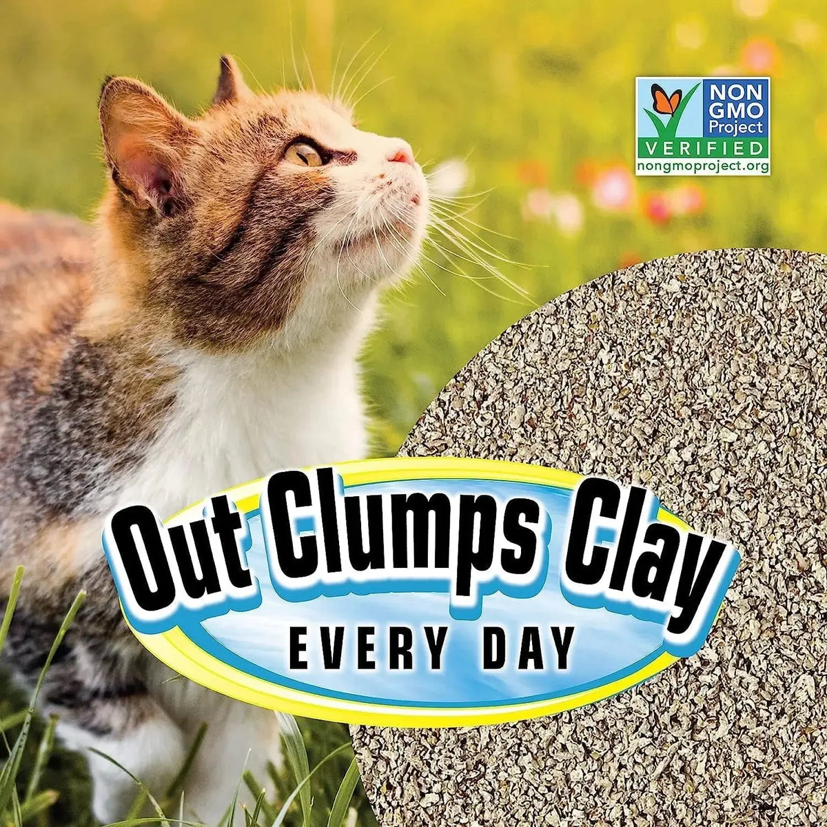Natural Clumping Cat Litter, 10 lb - Grass Seed, Unscented, Lightweight Alternative to Clay and Pellet - Needora