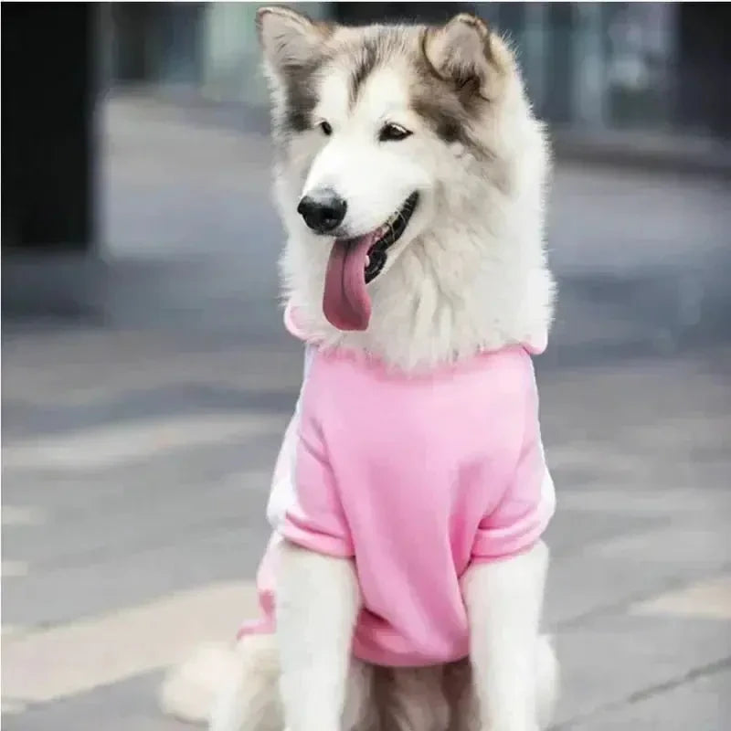 Winter Dog Clothes Adidog Sport Hoodies Sweatshirts Warm Coat Clothing for Small Medium Large Dogs Big Dogs Cat Pets Puppy Outfi - Needora