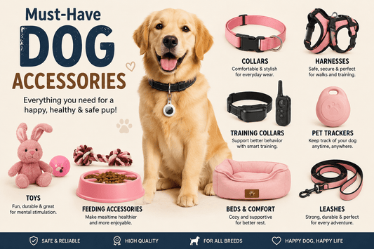 Dog Accessories Guide: Best Picks for Every Pup - Needora