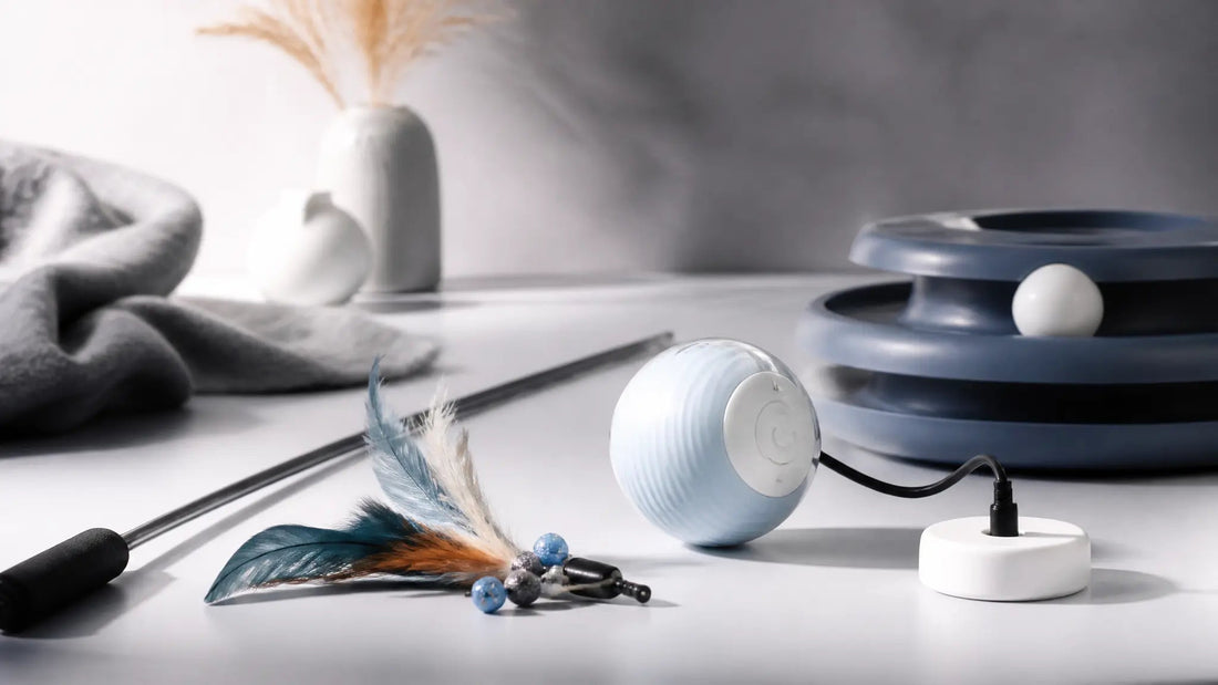 Expert-Tested: Best Interactive Cat Toys for Indoor Cats - Needora