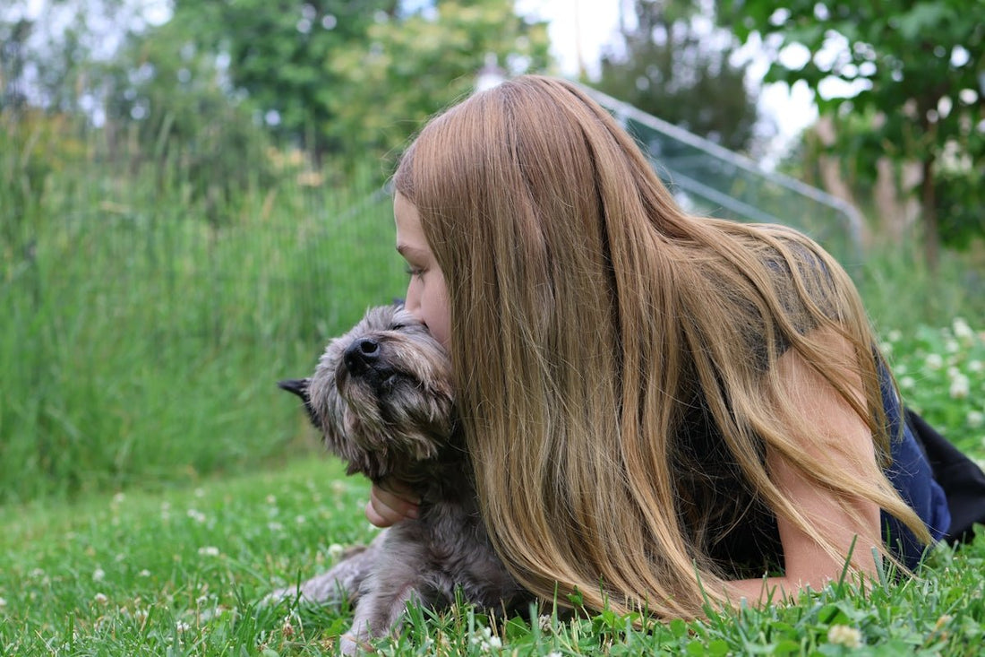 Understanding Your Dog's Behavior for a Happier Home - Needora