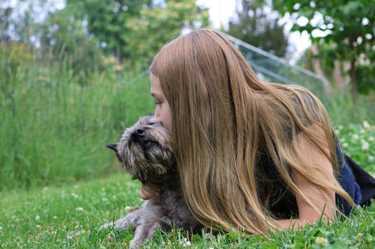 Understanding Your Dog's Behavior for a Happier Home - Needora