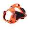 Orange / L