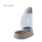 Gray Feeder
