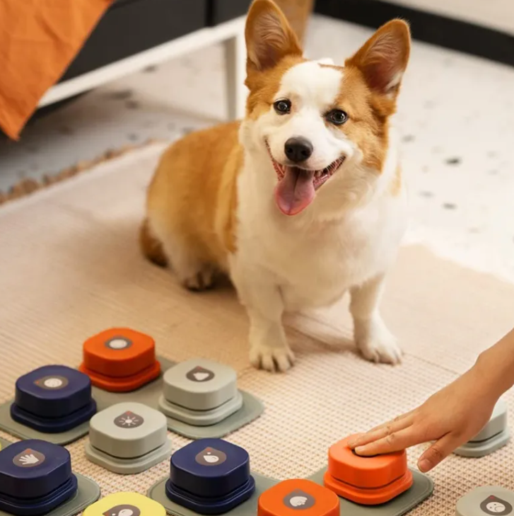 Interactive Pet Communication Button – Recordable Training & Talking Button for Dogs & Cats