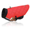 Red Black