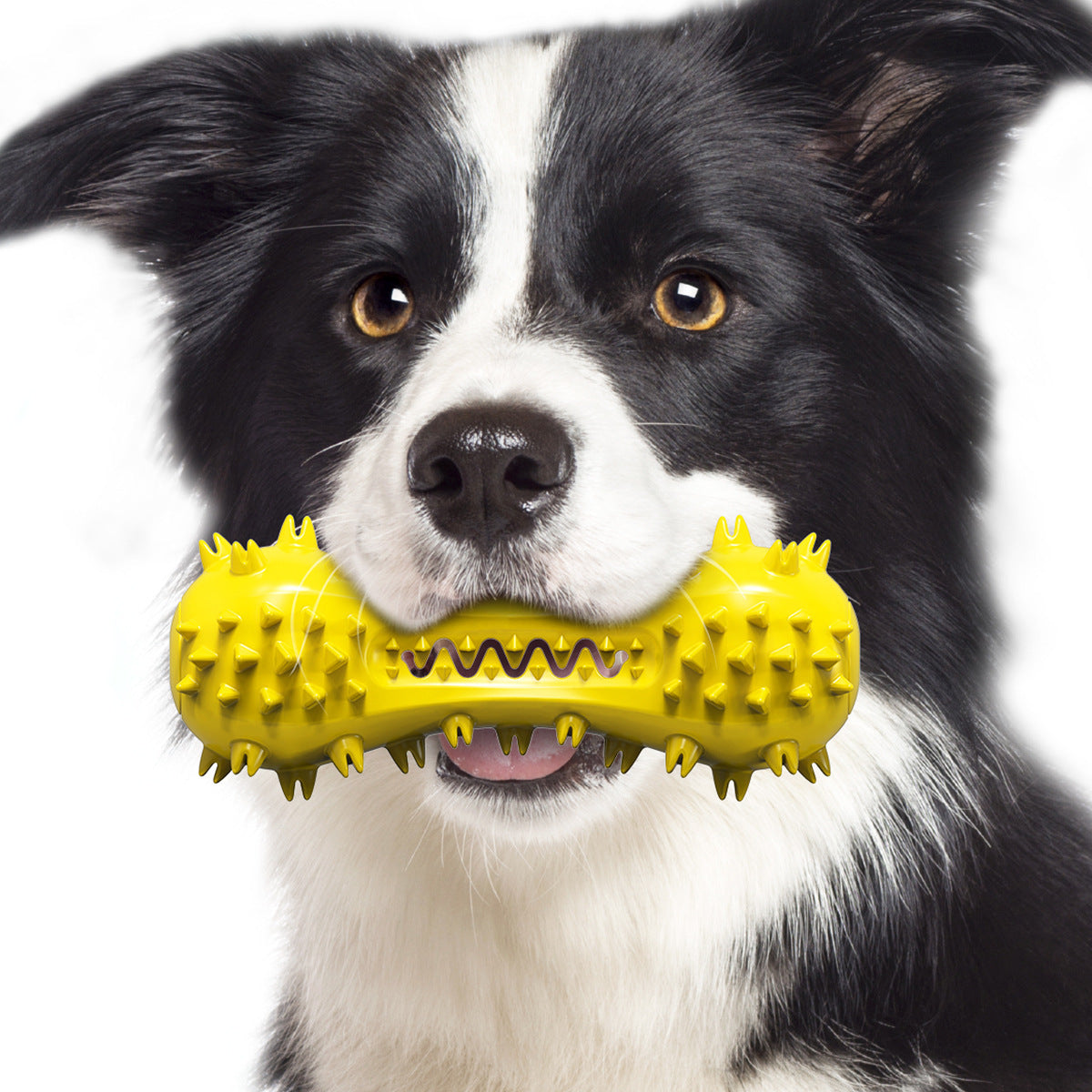 Dog Toothbrushes Dog Voice Molar Sticks Resistant To Gnawing Teeth Cleaning Bones Pet Toys